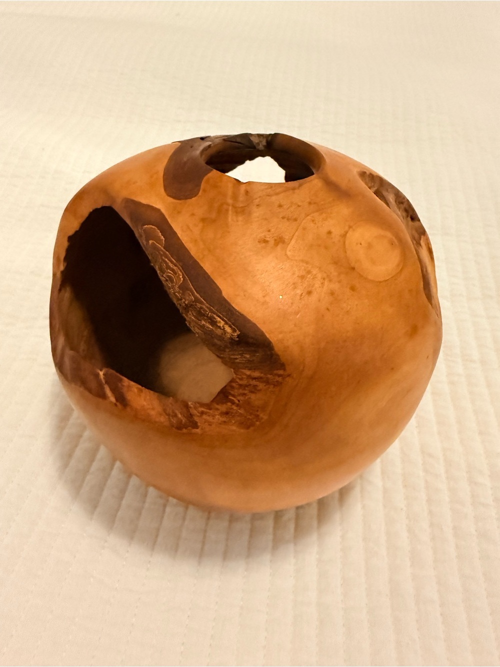 Rodger Jacobs Hand-Turned Willow Burl Wood Vessel Vase Signed Artist Piece